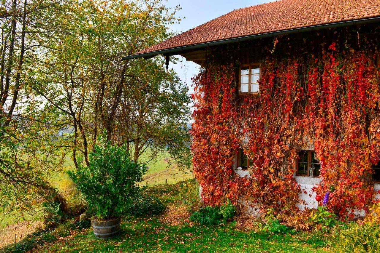 Hofatelier Menacher Neureichenau Bagian luar foto